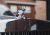 Jak zamówić nowego Rolls-Royce’a z salonu w Polsce? Przewodnik po procesie konfiguracji Figurka Spirit of Ecstasy na masce Rolls-Royce’a pokryta kroplami deszczu